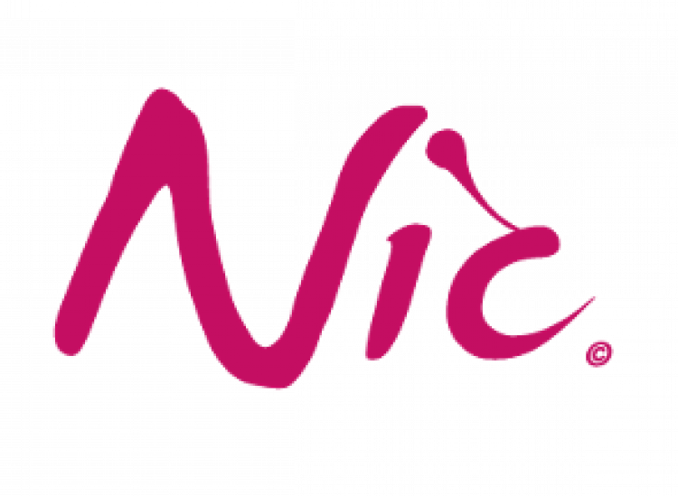 Nic. Логотип .nic..di. Фруско. Nic надпись. Онли айс